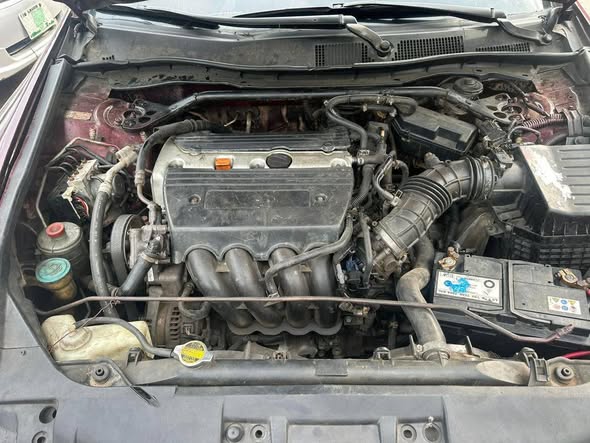 A picture of Registered 2008 Honda Accord