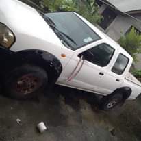 A picture of Nissan hard body