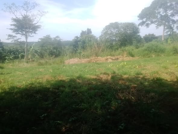 A picture of 33 acres of cammercial land along Kasayi Road in Bukerere