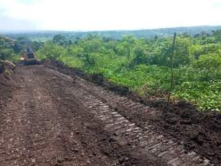 A picture of WAKISO NAMAYUMBA Walkable distance from the main road 20 50ft