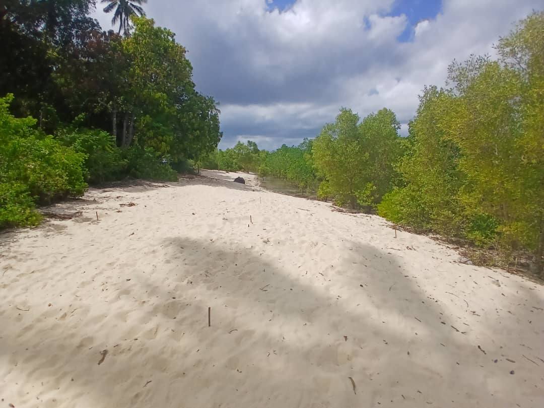A picture of UZI ISLAND BEACH FRONT PLOT FOR
