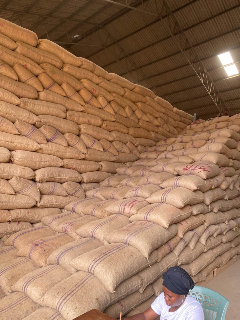 A picture of cashew Raw