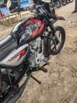 A picture of Boxer x 125
