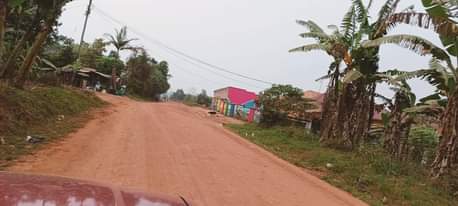 A picture of PLOTS FOR SALE LOCATED WAKISO BUKALANGO TOWN