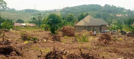 A picture of  MATUGGA MIGADDE KIKANDWA ESTATE Plot size and prices 50