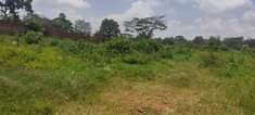 A picture of Plot for sale