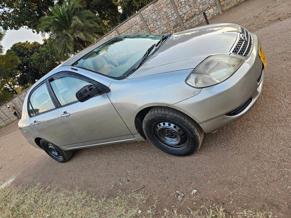 toyota corolla bubble