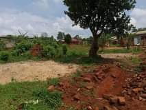 A picture of Buloba mityana rd plot on quick sale