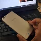 A picture of Vivo