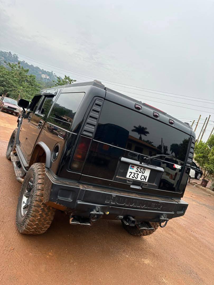 A picture of Hummer on sale 55m 0706 145834