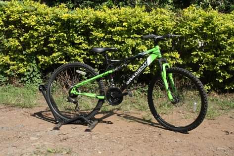 shimano