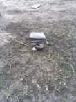A picture of Shamba linauzwa kibaha mlandizi KILOMETER 2 toka morogoro road Zipo