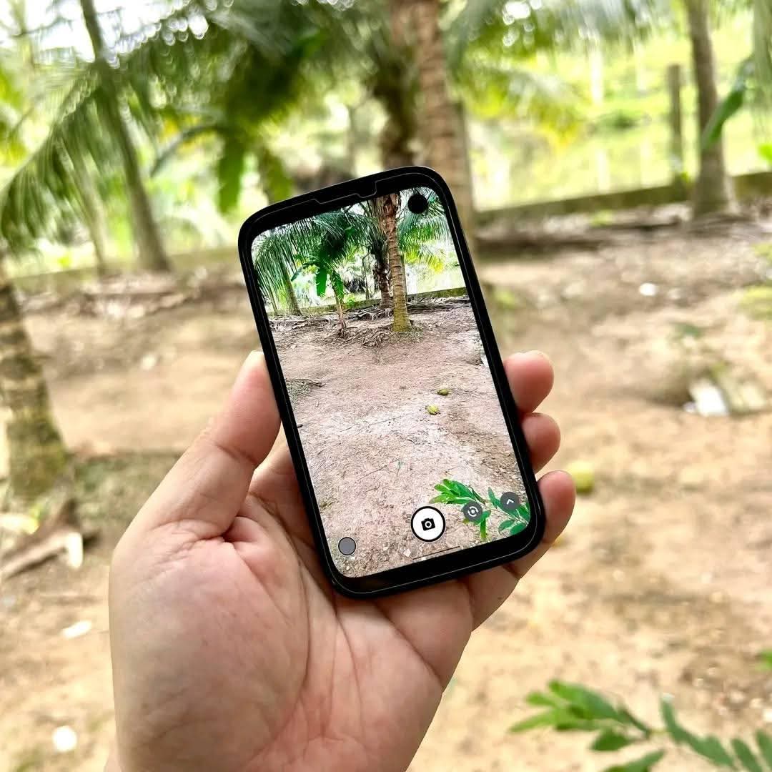 A picture of Bahlmuda phone