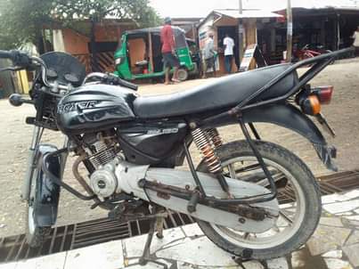 A picture of Boxer cc150