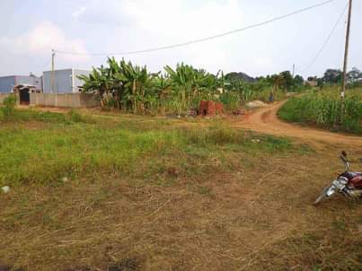 A picture of Quick sale 50by100 ready title at 20m Busubuzi price located