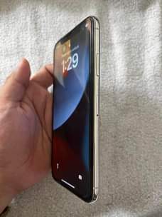 A picture of iPhone X