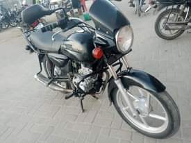 A picture of Boxer 159