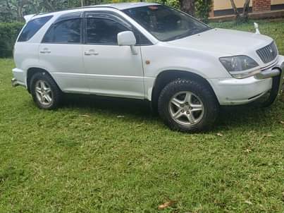 A picture of Harrier ordinary 2 2l