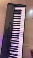 A picture of Casio CDP 100