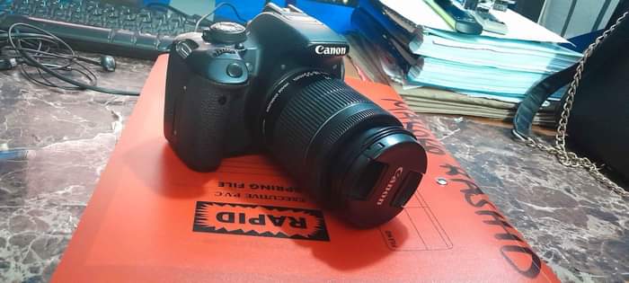 A picture of CANON D 700