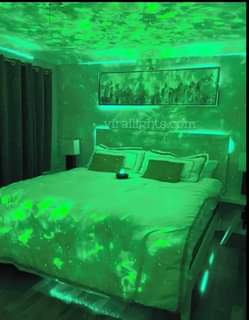 projector