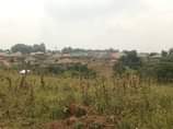 A picture of New estate located at matugga along matugga kasangati rd 2km