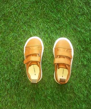 A picture of Shoes