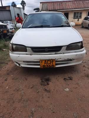 used toyota corolla