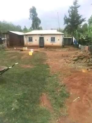 Katongole A.