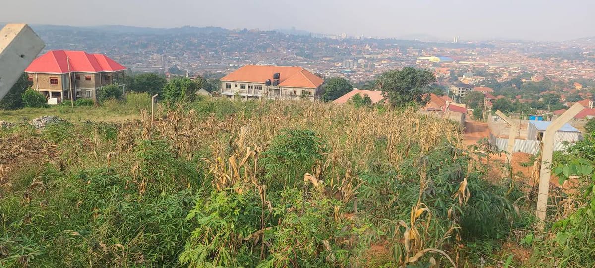 A picture of Prime titled land