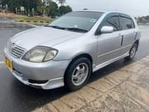 A picture of TOYOTA ALLEX