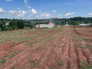 A picture of Plots at 28m Kiwenda