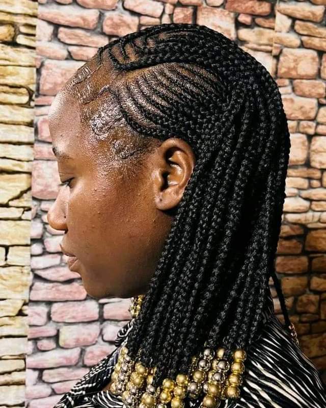 Abuti L.