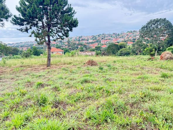 A picture of 20 DECIMALS AT 170M AKRIGHT BWEBAJJA