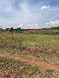 A picture of 50 100ft at Busiika Vumba selling 12 000 000 0704759507