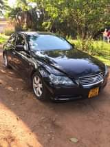 used toyota mark x