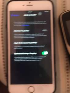 A picture of iPhone 6s Plus