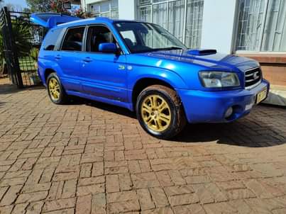 subaru forester