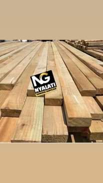 A picture of Nyalati timber suppliers