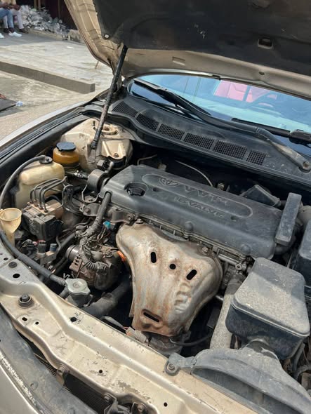 A picture of Camry Muscle 2008