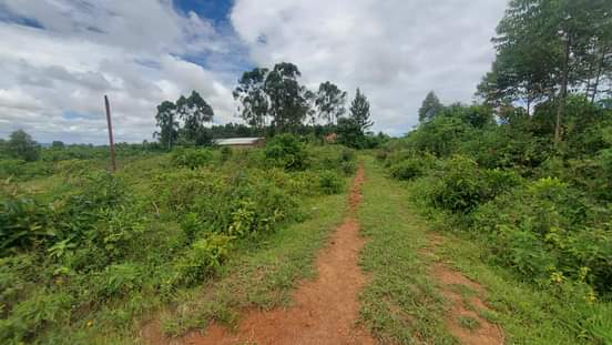 A picture of QUICK SALE KASANJE 50 by 100 titled