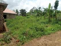 A picture of Plots for sale at Nabingo after Trinity college