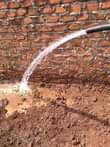 A picture of No national water