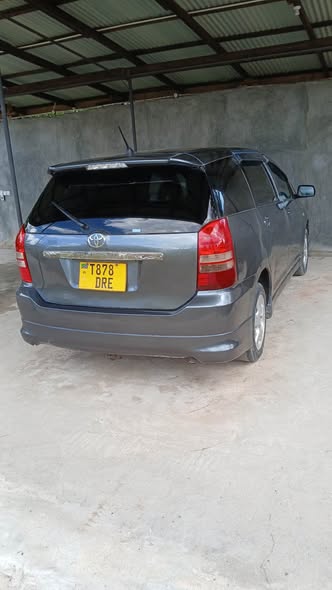 A picture of WISH 0672210608
