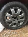 A picture of Mags and tyres size 14
