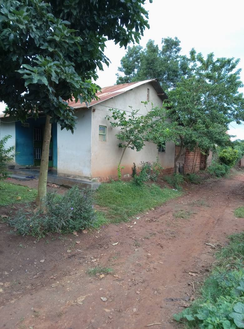 houses for rent