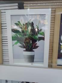 A picture of DECOR