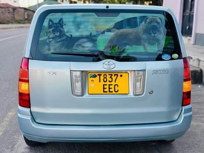 A picture of TOYOTA SUCSEED