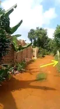 A picture of Affordable Plots available on Sale 80 Metres from tarmac at