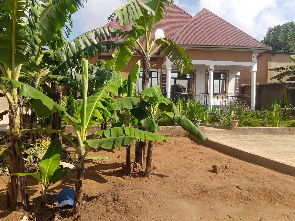 houses for rent